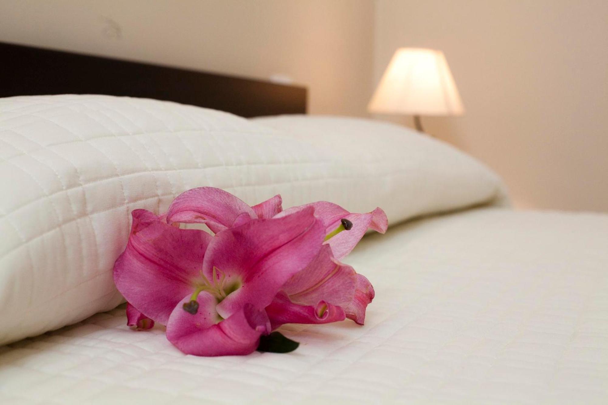Antiche Volte Bed & Breakfast Catania Bagian luar foto